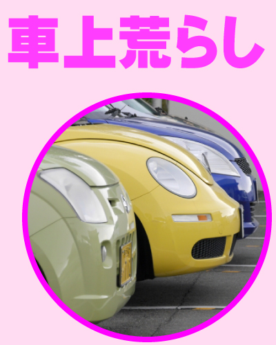 京都防犯カメラセンター 車上荒らし対策